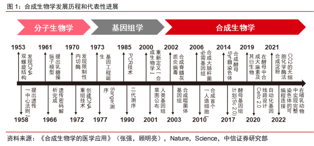 新风口！合成生物学的核心逻辑及概念龙头