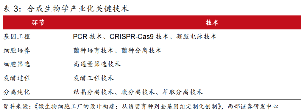 新风口！合成生物学的核心逻辑及概念龙头