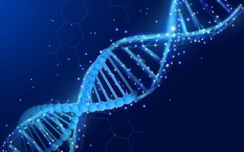 合成生物产业化加速，关注行业龙头凯赛生物、华恒生物