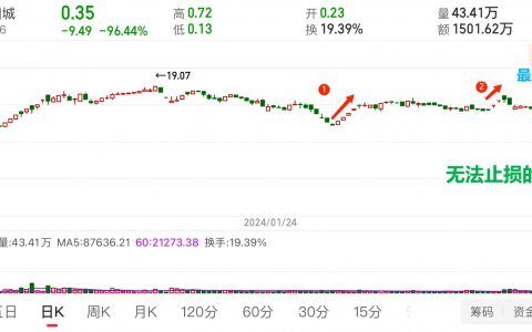 亏98%也吓不住赌狗-20240606