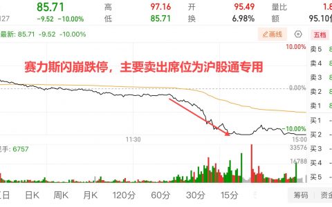 千亿赛力斯，闪崩跌停