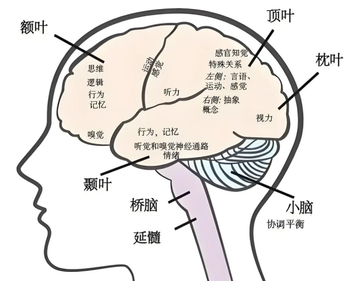 你的股票被“禀赋效应”绑架了吗？