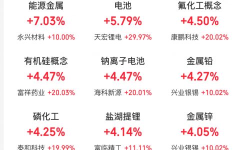 11月13日主题复盘：锂电池开盘走强并持续爆发，海峡两岸再度走强